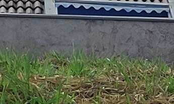 Imagem: Lote de 125 m² Parque Residencial São