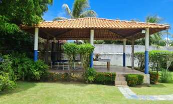 Imagem 4: Chácara à Venda no Mosqueiro - Ótima Oportunidade de Investimento!