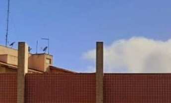 Imagem: Recanto dos Coqueiros