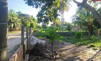 Imagem 6: Chácara no Pov Areia Branca