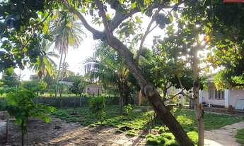 Imagem 5: Chácara no Pov Areia Branca