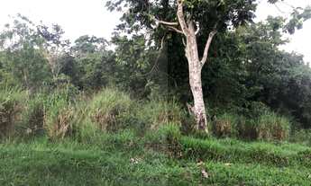 Imagem: TERRENO RESIDENCIAL em MACAÉ - RJ, PARQUE