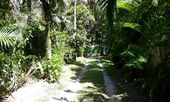 Imagem 4: TERRENO RESIDENCIAL em SANTA CRUZ CABRÁLIA - BA, A 1 minuto do Centro de Cabrália, Terra d