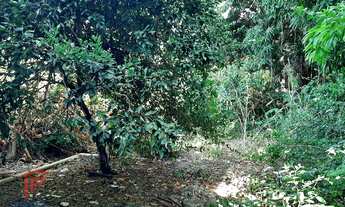 Imagem 3: Casa no vinhais Casa com 5 dormitórios