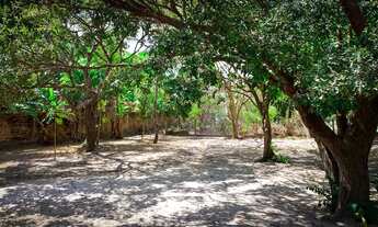 Imagem 4: Casa na Beira do Rio Preguiça em Barreirinhas