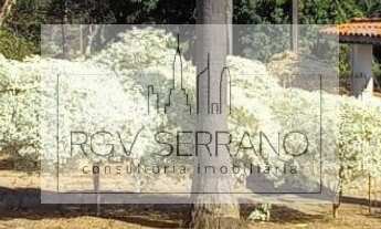 Imagem 6: Sítio frutífero com 2 casas à venda, 26.000,00m2 por R$ 1.650.000,00 - Sítio Bueno, parque