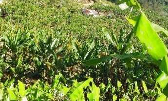 Imagem 5: LINDO TERRENO- SÃO BENTO DO SAPUCAÍ