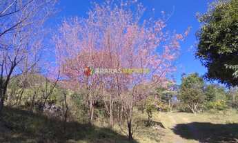 Imagem 7: SITIO EM SAPUCAI MIRIM (SUL DE MINAS) COM 68.000M² POR R$ 1.100.000,00