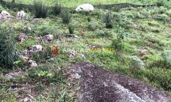 Imagem 6: TERRENO Á VENDA- GONÇALVES/MG