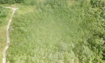 Imagem 3: TERRENO À VENDA, 46 M² POR R$ 13.250.000,00 - MAITINGA - BERTIOGA/SP