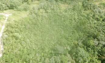 Imagem 5: TERRENO À VENDA, 46 M² POR R$ 13.250.000,00 - MAITINGA - BERTIOGA/SP