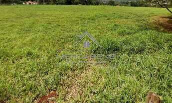 Imagem: AREA COMERCIAL em IPIGUÁ - SP, Rod. Délcio