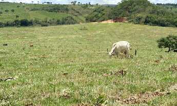 Imagem: FAZENDA- SERRANOPOLIS