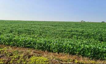 Imagem 6: Sítio à venda em Itapetininga-SP, no bairro Vale San Fernando, com 895.400 m² de área!