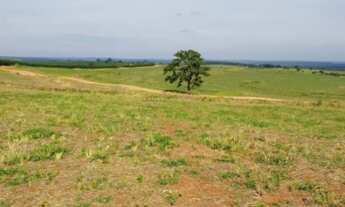 Imagem: Fazenda de porte com 4 quartos e 30 vagas