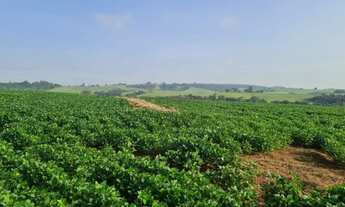 Imagem 5: Sítio à venda em Itapetininga-SP, no bairro Vale San Fernando, com 895.400 m² de área!