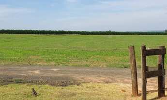 Imagem 7: Fazenda de porte com 4 quartos e 30 vagas em Bauru-SP - Loteamento Chácaras Vale do São Lu