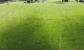 Imagem 6: Sítio à venda no Centro de Itapetininga-SP com 387.200m² de área: oportunidade única!