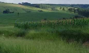 Imagem 6: Sítio à venda em Tatuí - SP: 25 Alqueires - 605.000 m² de Somente Terra