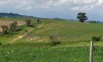 Imagem 5: Sítio à venda em Tatuí - SP: 25 Alqueires - 605.000 m² de Somente Terra