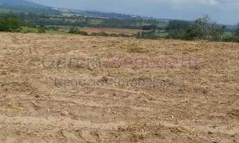 Imagem 4: Sítio à venda em Tatuí - SP: 25 Alqueires - 605.000 m² de Somente Terra