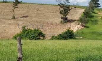 Imagem 7: Sítio à venda em Tatuí - SP: 25 Alqueires - 605.000 m² de Somente Terra