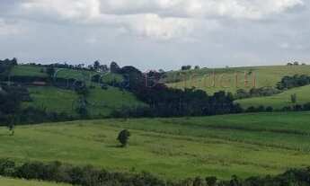 Imagem 3: Sítio à venda em Tatuí - SP: 25 Alqueires - 605.000 m² de Somente Terra