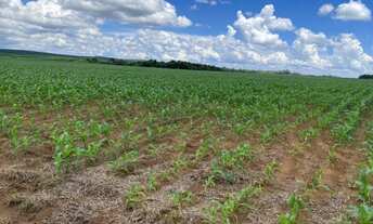 Imagem 5: Fazenda de Luxo no Centro de Avaré-SP 5 Quartos, 4 Salas, 5 Banheiros 80 Vagas de Garage