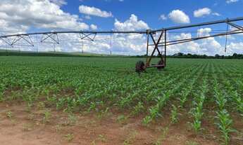 Imagem: Fazenda de Luxo no Centro de Avaré-SP 5