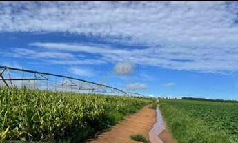 Imagem 3: Fazenda de Luxo no Centro de Avaré-SP 5 Quartos, 4 Salas, 5 Banheiros 80 Vagas de Garage