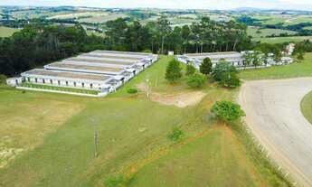 Imagem: Haras de Luxo à Venda em Porto Feliz-SP