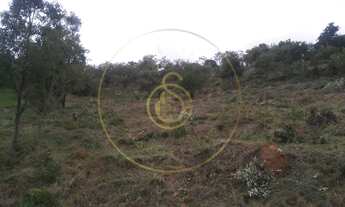 Imagem 3: Terreno para Venda em Jundiaí / SP no bairro Ivoturucaia