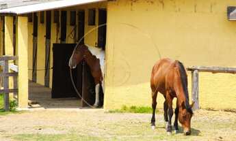 Imagem 3: Fazenda para Venda em Socorro / SP no bairro Circuito das Malhas