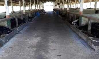 Imagem 6: Fazenda Cinematográfica a Venda na Região de Itapetininga / SP