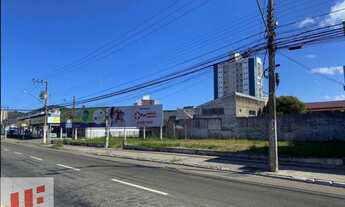 Imagem 4: Área campinas São José região Kobrasol