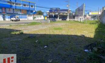 Imagem: Área campinas São José região Kobrasol