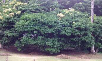 Imagem 7: PROPRIEDADE À VENDA COM GRANDE ÁREA DE TERRENO NO ITAPECERICA REGIÃO SUL DA ILHABELA