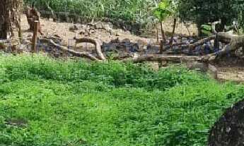 Imagem: OPORTUNIDADE DE TERRENO À VENDA NA PRAIA