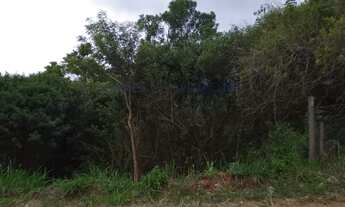 Imagem 5: TERRENO PARA INVESTIMENTO À VENDA NO BAIRRO PIUVA - ILHABELA -SP