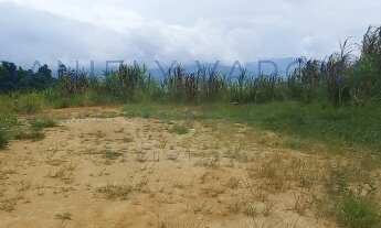 Imagem 3: TERRENO À VENDA PARA INVESTIMENTO NO BAIRRO DO ZABUMBA EM ILHABELA-SP