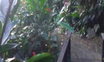 Imagem 4: CASA À VENDA NA PONTA DAS CANAS EM ILHABELA - SP