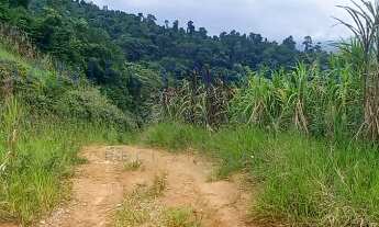 Imagem 4: TERRENO À VENDA PARA INVESTIMENTO NO BAIRRO DO ZABUMBA EM ILHABELA-SP