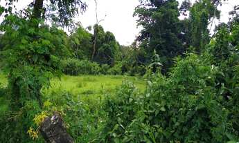 Imagem: TERRENO À VENDA NO REINO EM ILHABELA-SP
