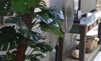 Imagem 5: CASA À VENDA COM PISCINA E SUÍTES EXTERNAS NO PEREQUE EM ILHABELA-SP