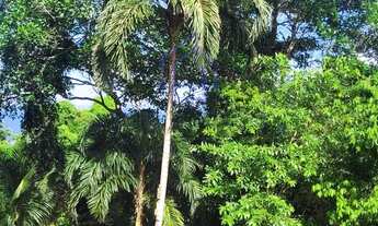 Imagem 5: TERRENO À VENDA COM POUCO DECLIVE, ESCRITURA DEFINITIVA NA FEITICEIRA EM ILHABELA -SP