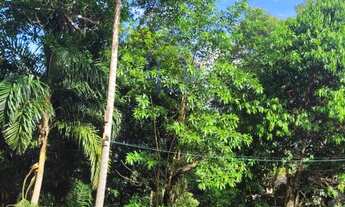 Imagem 3: TERRENO À VENDA COM POUCO DECLIVE, ESCRITURA DEFINITIVA NA FEITICEIRA EM ILHABELA -SP