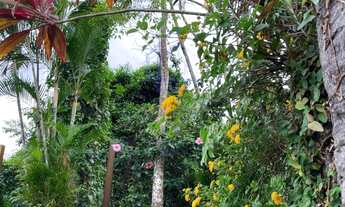Imagem 3: CASA À VENDA NO SACO DA CAPELA EM ILHABELA-SP