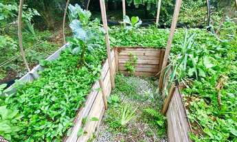 Imagem 2: CASA RESIDENCIAL em SÃO PAULO - SP, HORTO FLORESTAL