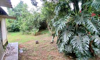 Imagem 4: CASA RESIDENCIAL em SÃO PAULO - SP, HORTO FLORESTAL