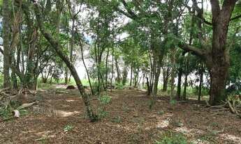 Imagem 4: Chácara à Venda na Represa de Piracaia - Saída Exclusiva para água